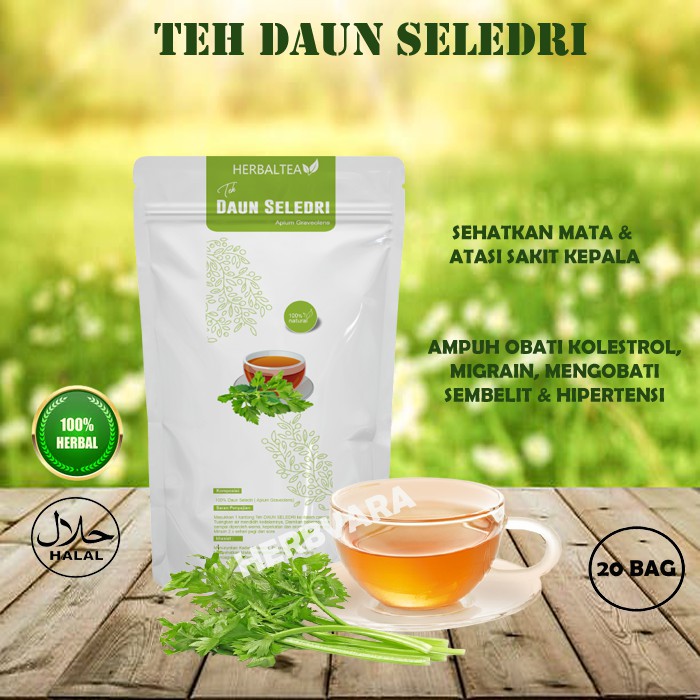 

TEH DAUN SELEDRI HERBAL OBAT KOLESTROL ALAMI, HERBAL ANTI BAKTERI MENCEGAH PENYAKIT KANKER