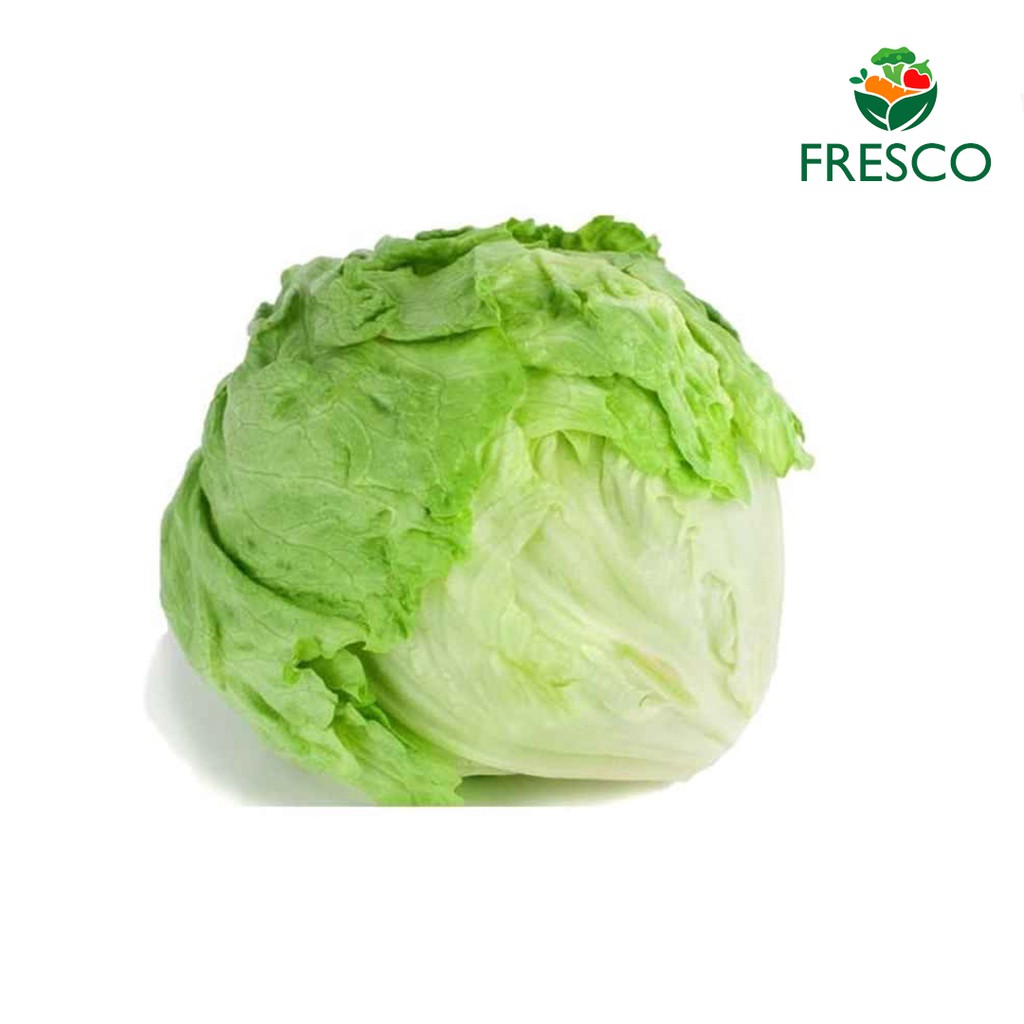 Head Letuce - Sayuran Segar