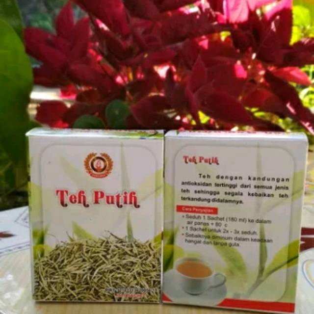 

PROMO !!! WHITE TEA | TEH PUTIH ASLI DARI KEMUNING netto : 10gr