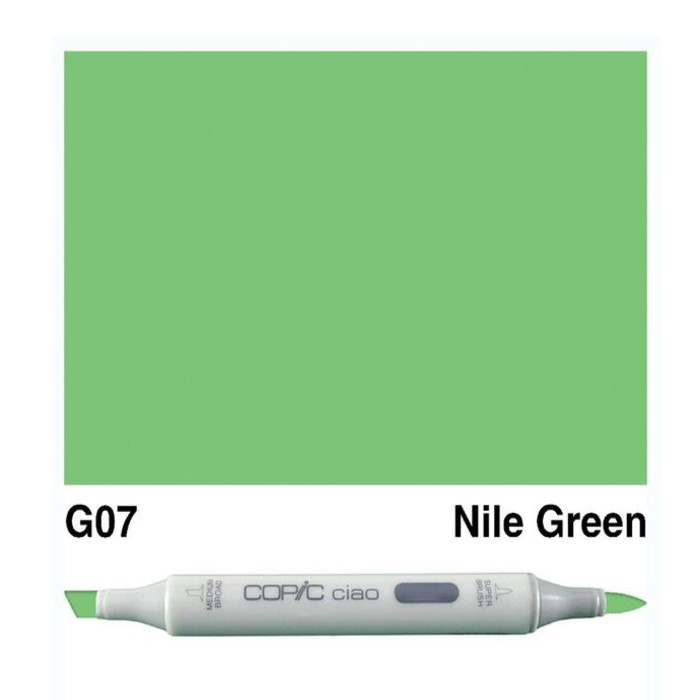 

COPIC CIAO MARKER NILE GREEN