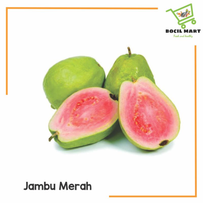 

[BOCIL MART] BUAH JAMBU MERAH 1 KG