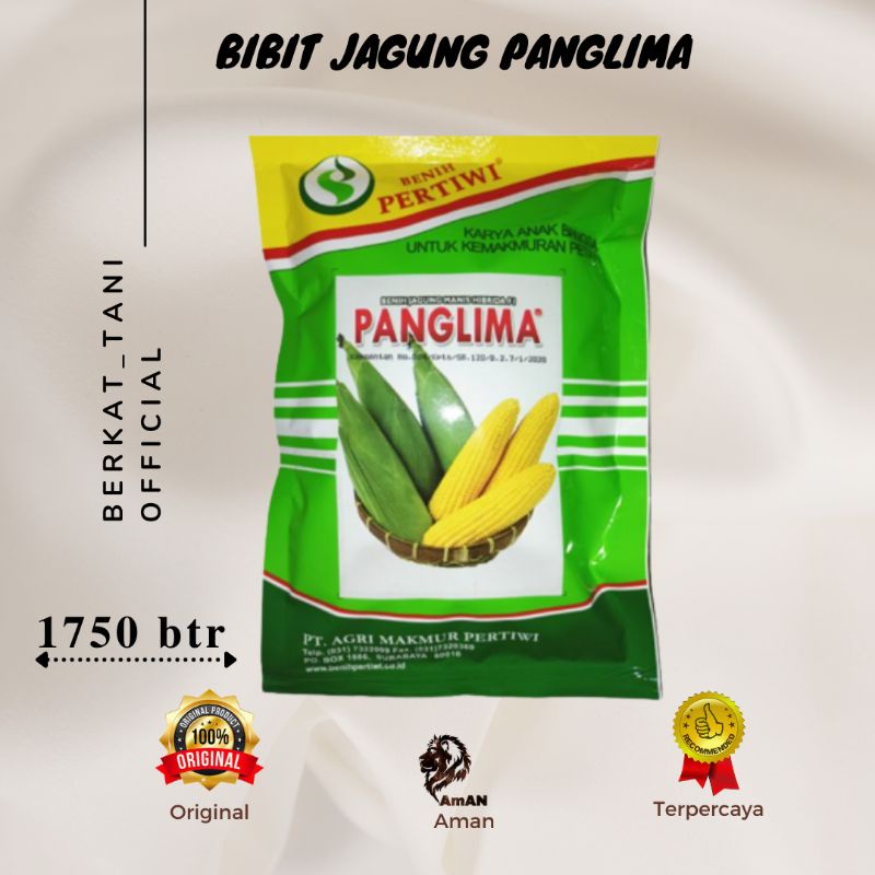 Bibit Benih Jagung Manis Panglima Pertiwi 1750 Butir Original Benih Pertiwi Pertanian Unggul