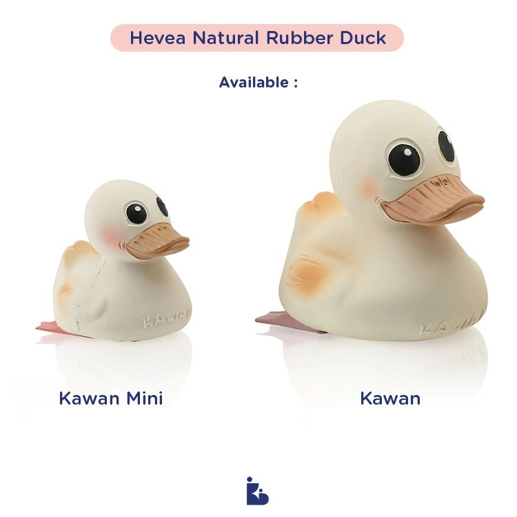 Hevea Natural Rubber Duck