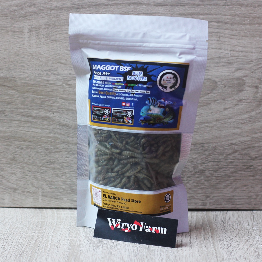 MAGGOT BSF Grade A BLUE BOOSTER - Pakan Premium EL BARCA Feed MAGGOT BSF Kering
