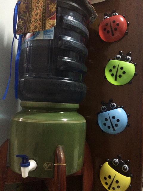 Tempat Sikat Gigi Kumbang Lady Bug Organizer Odol Tooth Brush Holder