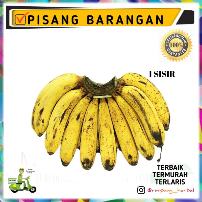 

pisang | pisang barangan | buah segar | 1 sisir