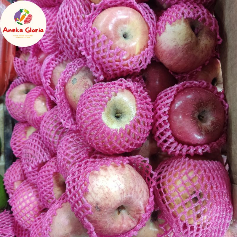 

Buah Apel Fuji 1 KG