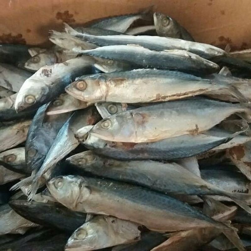 

Ikan Asin Peda