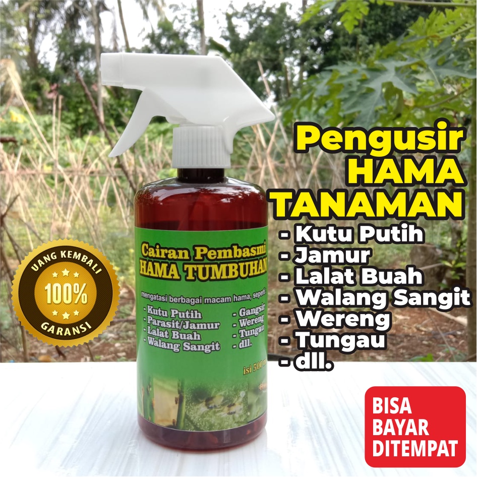 [bogorfarm] PENGUSIR &amp; PEMBASMI HAMA TUMBUHAN 500ml | Plant | Hama Daun | Kutu Putih | Lalat | Parasit | Jamur | Gangsir | Wereng | Tungau | Tanaman