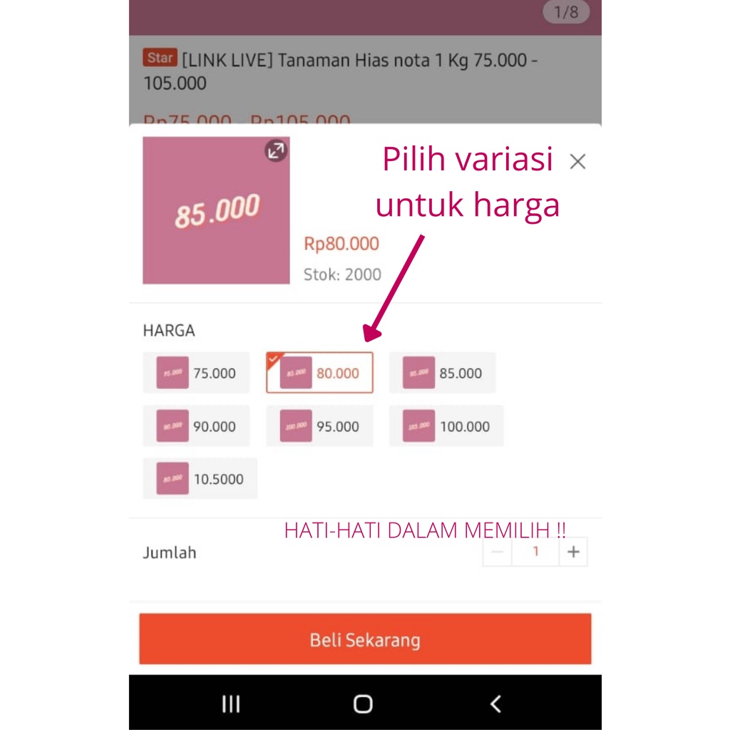[LINK LIVE] Tanaman Hias nota 1 Kg 6.000 -42.000