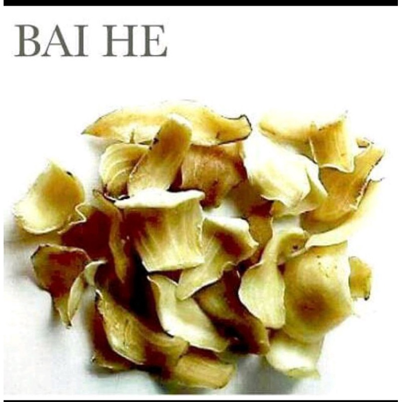 

1KG 1 KG 1000 G GR GRAM 百合 BAI HE PAI HE PA HAP LILY BULB BUNGA LILI