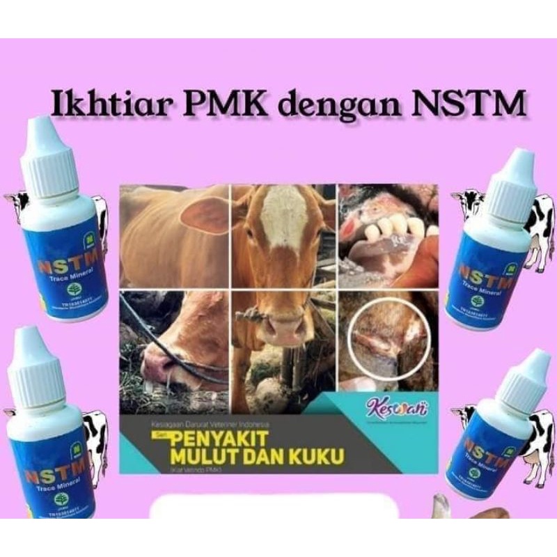 Obat Sapi PMK Penyakit Mulut & Kuku ( Nstm )