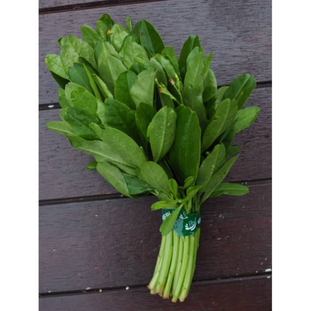 

Daun Ginseng / 500gr sayuran antik fresh, murah dengan kualitas terjamin