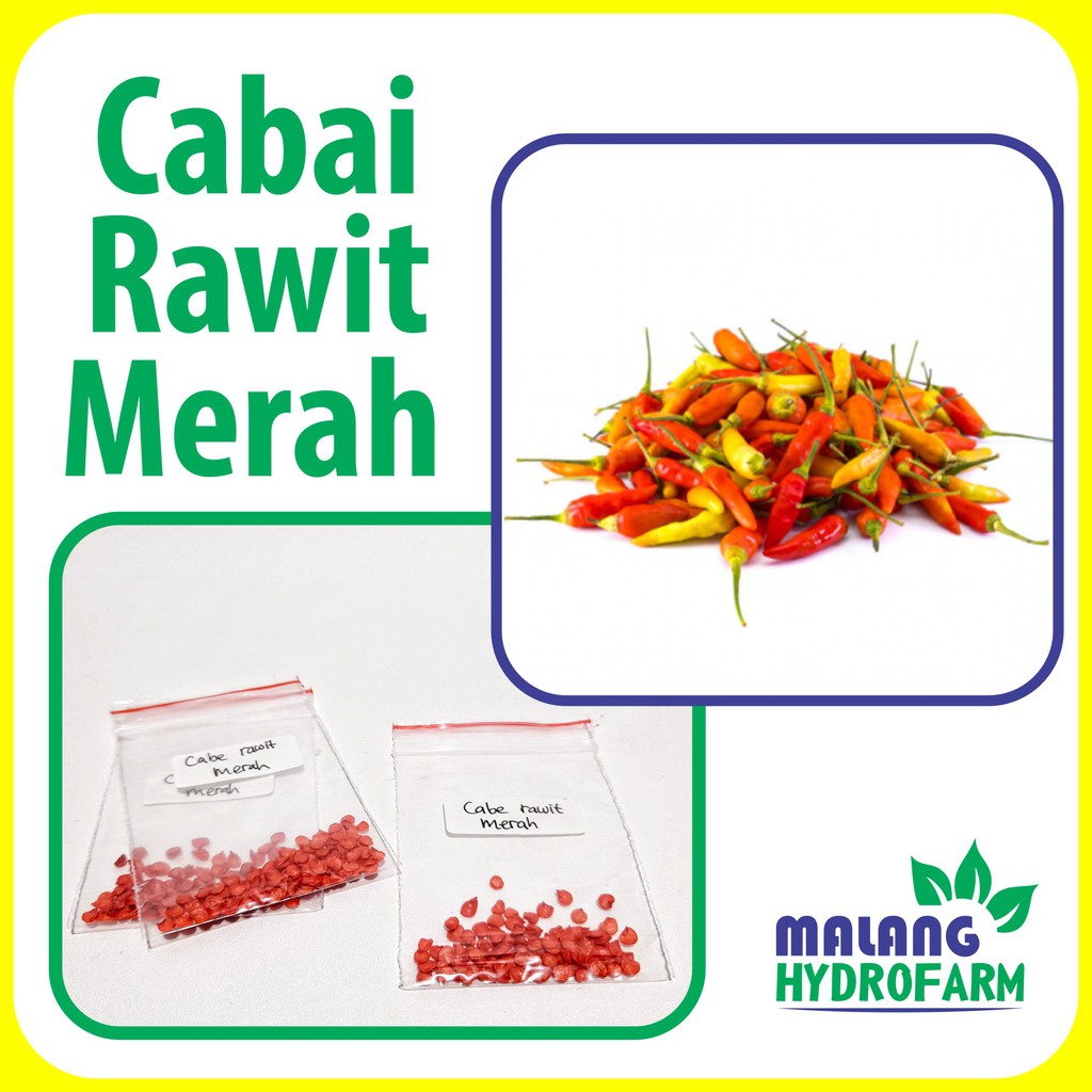 Benih Cabai Rawit Merah Unggulan berkualitas biji bibit cabe hydroponik hidroponik sayuran sayur
