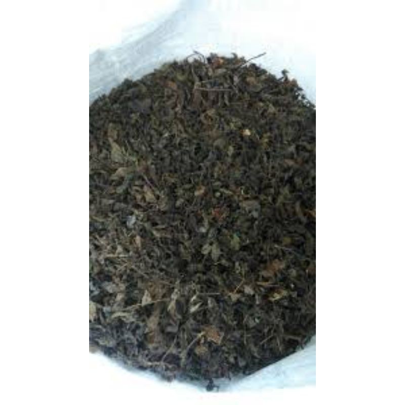 

daun janggelan/cincau hitam super