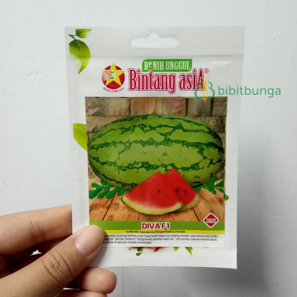 Benih Bibit Semangka Diva F1 2 gram Biji Buah Hibrida Cap Bintang Asia