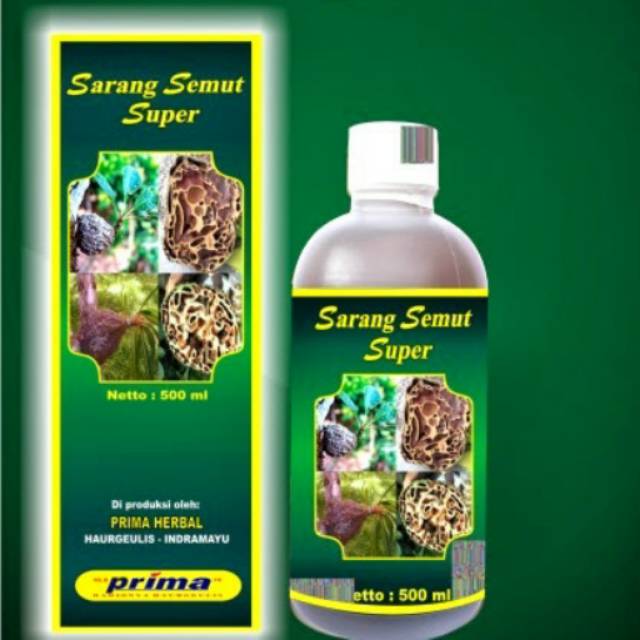 Promo Besar Sarang Semut Super Asli 100 Untuk Kanker Tumor Shopee Indonesia