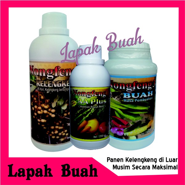 Pupuk Nongfeng Paket Kelengkeng Berbuah di Luar Musim Terlaris