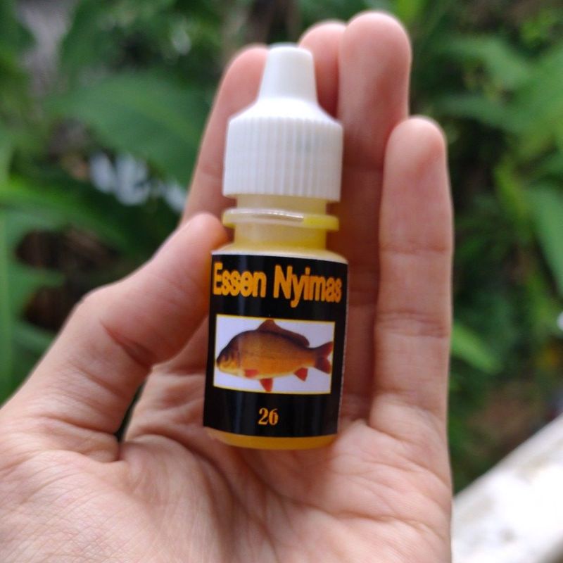 Essen Nyimas Essen Ikan Mas Umpan Mancing Essen Booster Paling Ampuh