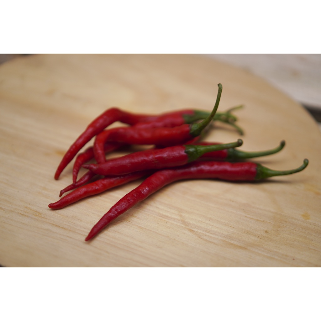 

Cabai / cabe keriting merah
