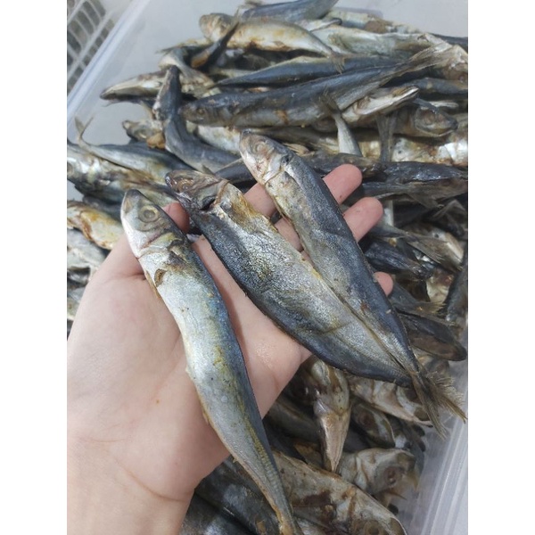 

IKAN ASIN PINDANG LAJANG LAYANG 1kg KALIMANTAN MAMA KHAS BANJAR