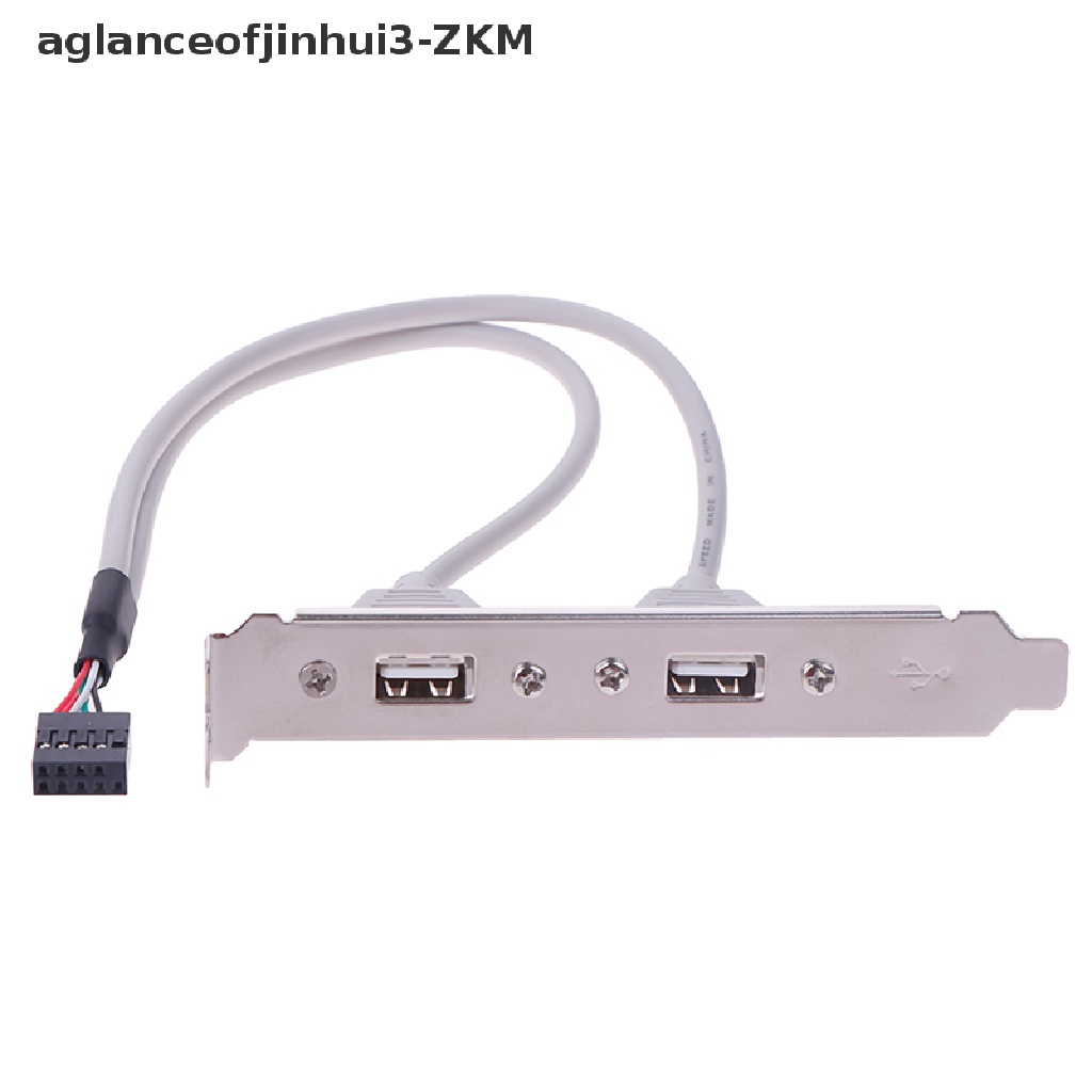 1 Pc Bracket Adapter Expansion Panel Belakang 2 Port USB 2.0 Ke Motherboard Header