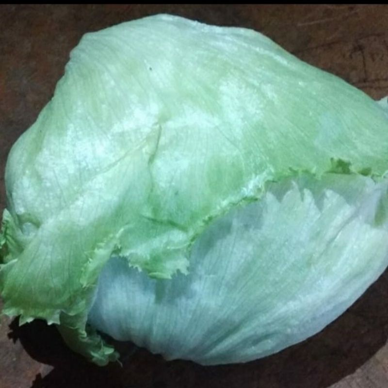 

lettuce head 1000 gram