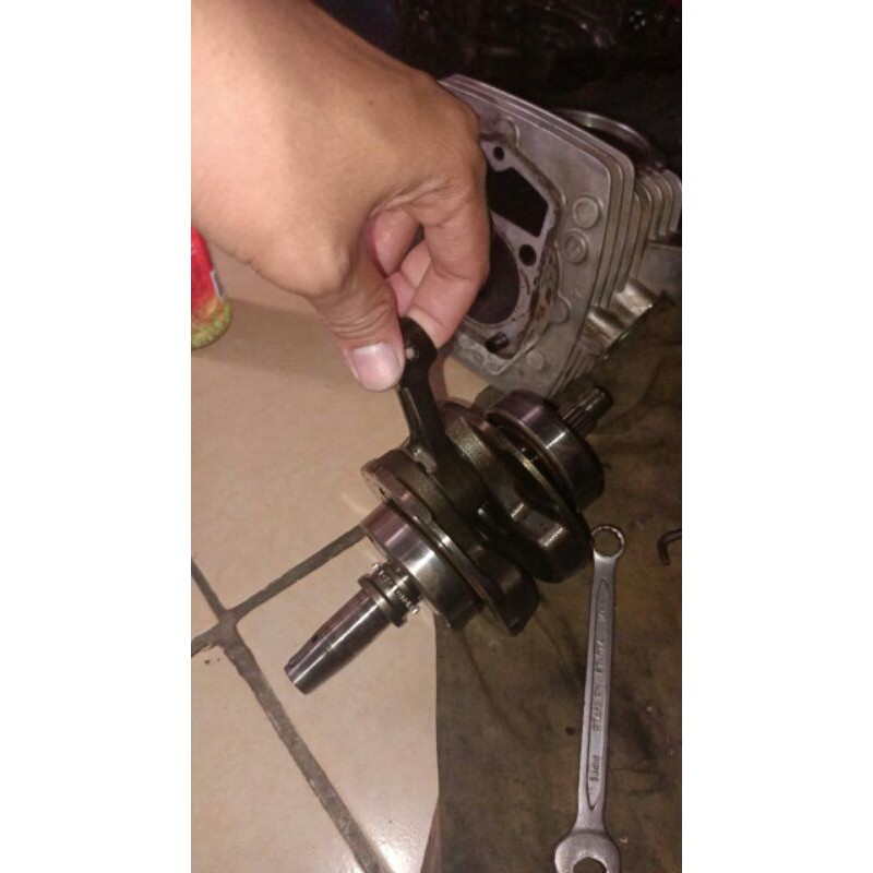 kruk as tiger ori copotan