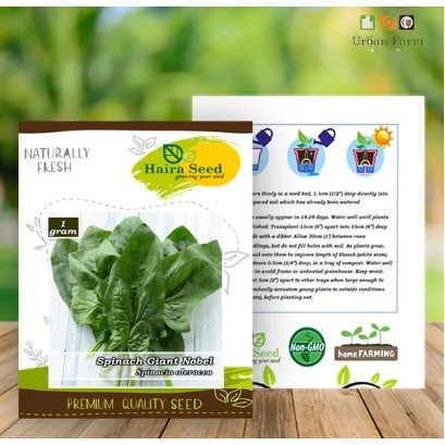 BENIH BIBIT TANAMAN PERTANIAN SAYUR SAYURAN HIDROPONIK BAYAM JEPANG GIANT NOBEL HAIRA SEED IMPORT