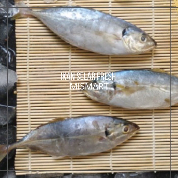 

IKAN SELAR SEGAR - 1kg - 1kg