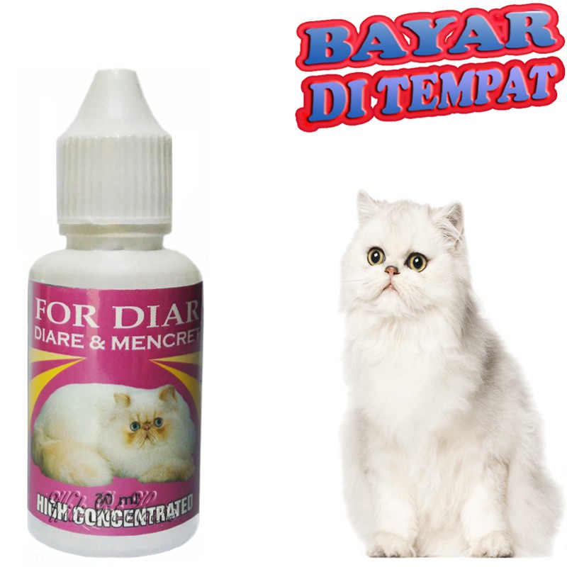Obat Mencret Kucing FOR DIAR Sakit Diare Pencernaan Perut