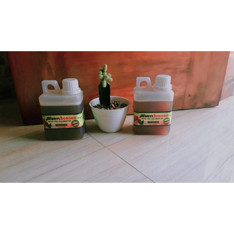 

Mirza Madu (Madu Murni Asli Kalimantan)