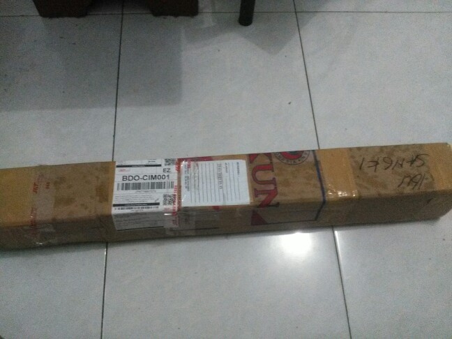 Bibit Kelengkeng Matalada Supermurah