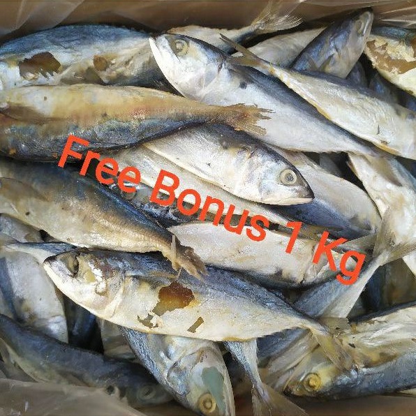 

Ikan Asin Peda Putih Uk 500 gr + Gratis bonus