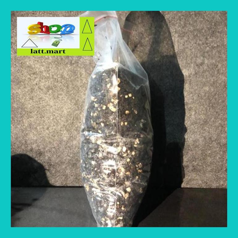 

Yu04Yts Pine Bark Mix Fermentasi Media Tanam /1Kg Yul0F40Ul