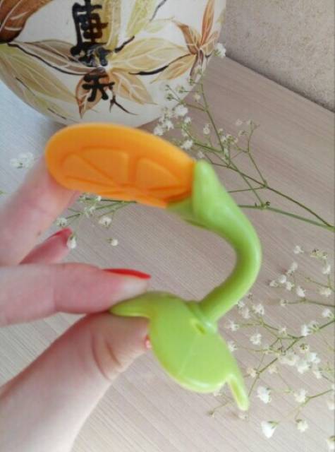 Baby teether / gigitan bayi bentuk buah / mainan gigi BPA FREE