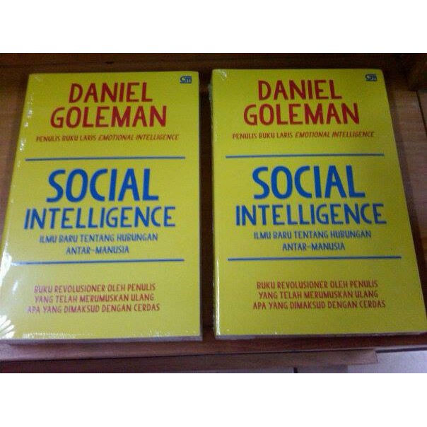 DISKON   Social Intelligence ( Daniel Goleman)