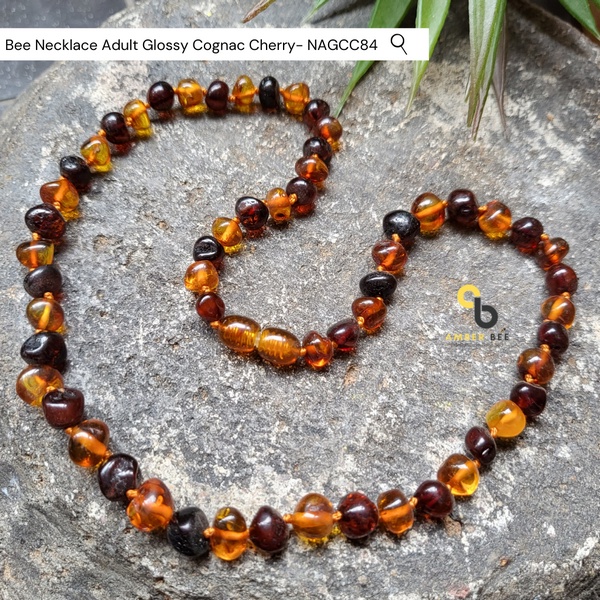 Kalung Amber Dewasa Premium Glossy Cognac Cherry by Amber Bee NAGCC84