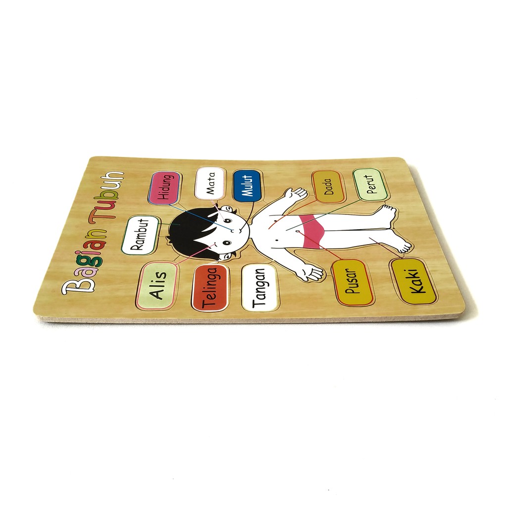 Puzzle Kayu Bagian Tubuh Wanita