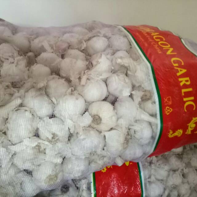 

Bawang Putih Kating