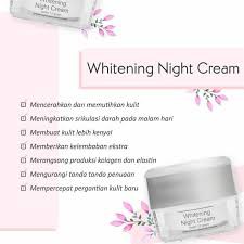 MsGlowNight Cream