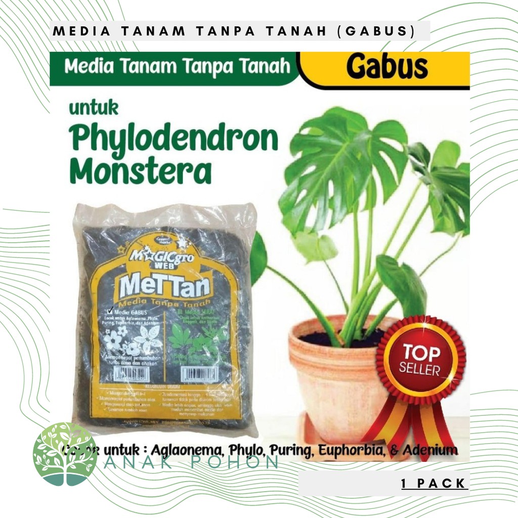 Media Tanam Gabus Small - untuk Philodendron Monstera METAN (Media Tanam Tanpa Tanah) - Green World MAGICgro WEB METTAN