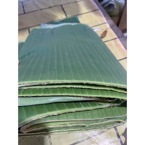 

daun pisang segar