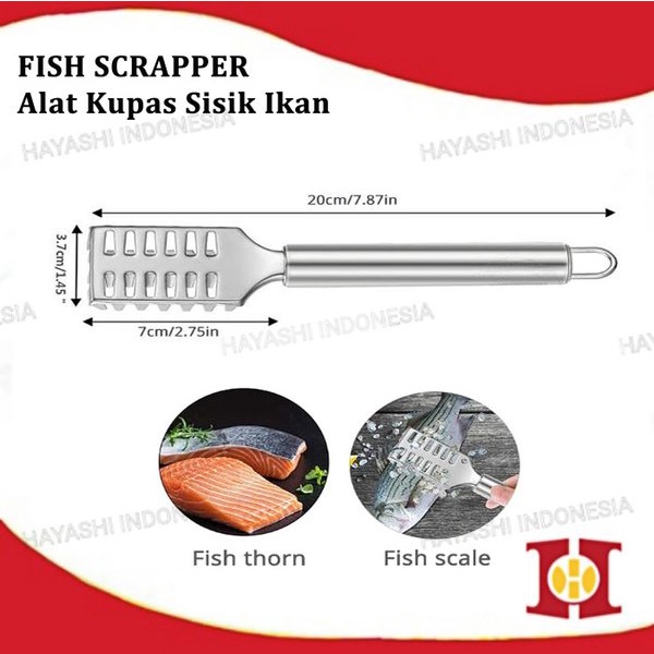 Alat Pembersih Pengupas Sisik Ikan Fish Scale Skin Remover Stainless