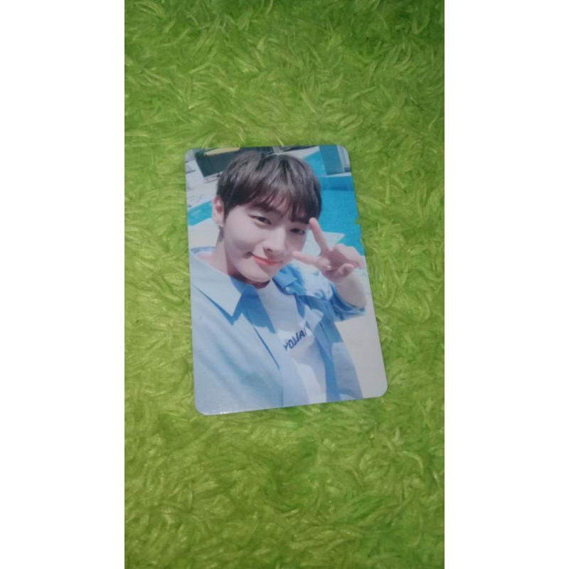 phococard summer package jisung wannaone