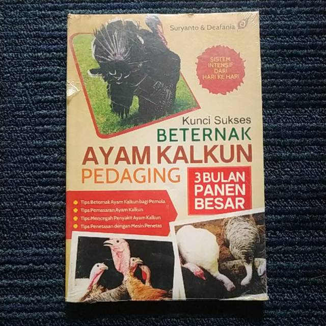 Kunci Sukses BETERNAK AYAM KALKUN PEDAGING - 3 Bulan Panen Besar