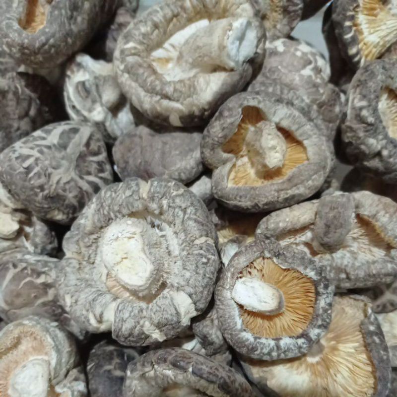 

jamur shitake kering/dried mushroom/siang ku 100 g