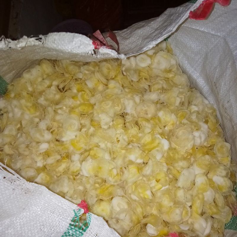 

kripik singkong mentah