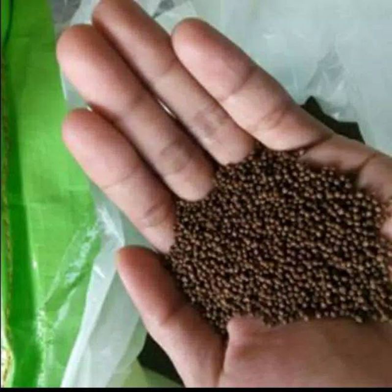 pakan lele PF 1000 PRIMA FEED 1KG