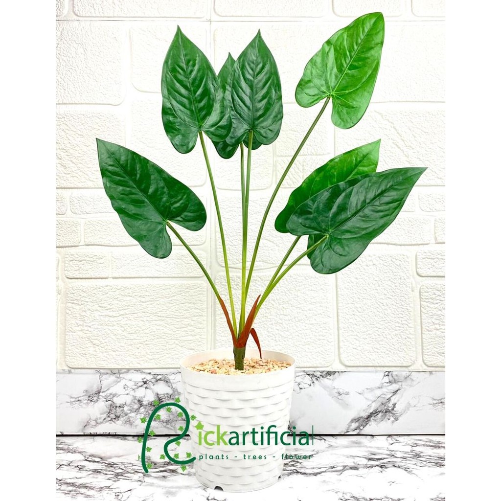 Pohon Daun Talas Hijau Latex Artficial Pot Putih Plastik Motif 3D Tanaman Hias Dekorasi Rumah Aesthe